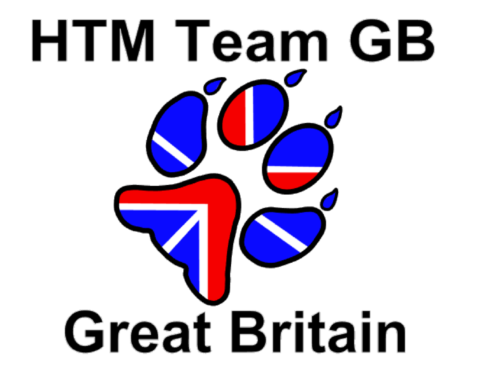 HTM Team GB logo